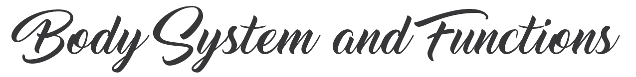 Body System and Functions